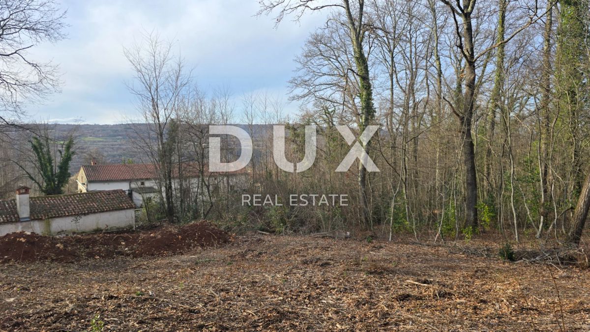 ISTRIA, LABIN - Casa indipendente in pietra con ampio giardino