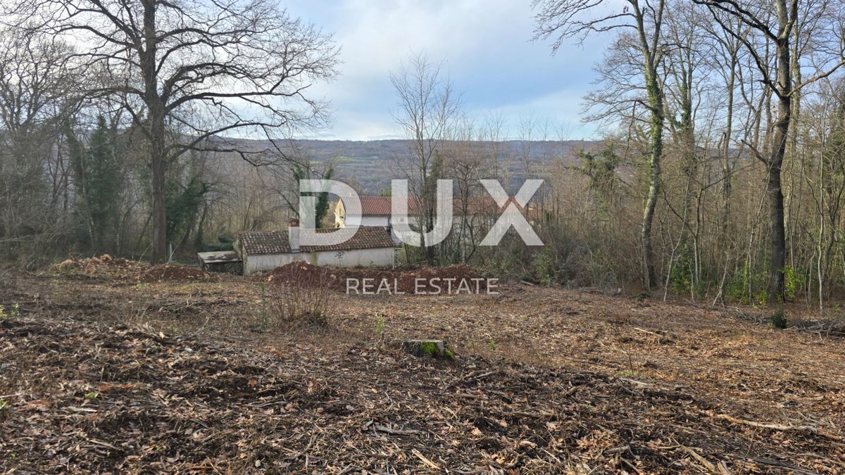 ISTRIA, LABIN - Casa indipendente in pietra con ampio giardino