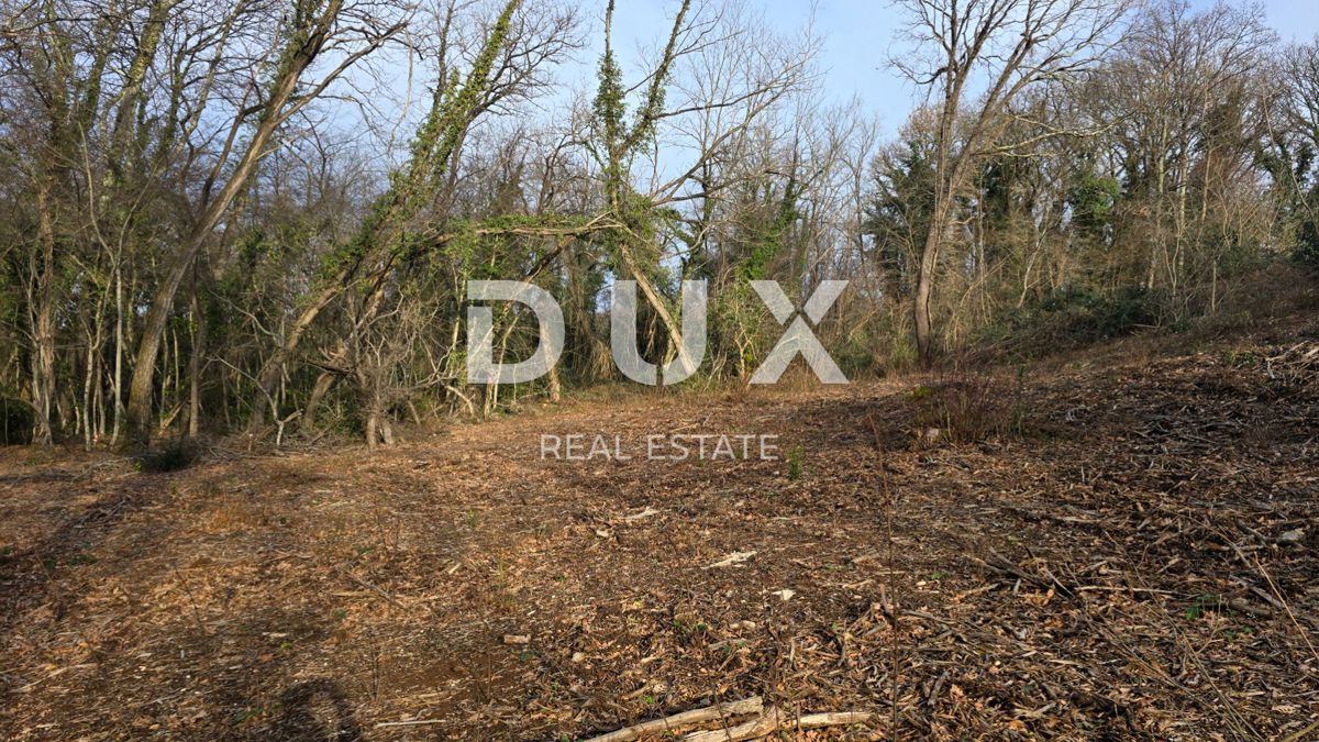 ISTRIA, LABIN - Casa indipendente in pietra con ampio giardino