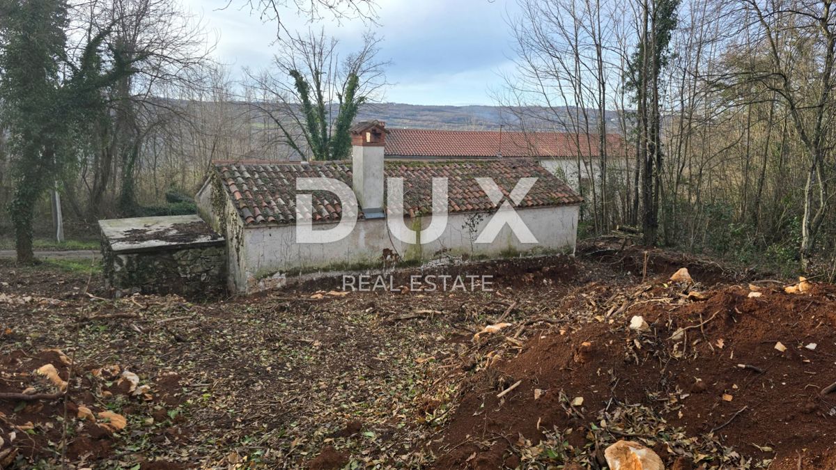 ISTRIA, LABIN - Casa indipendente in pietra con ampio giardino