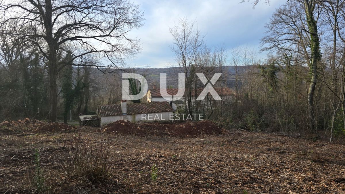 ISTRIA, LABIN - Casa indipendente in pietra con ampio giardino