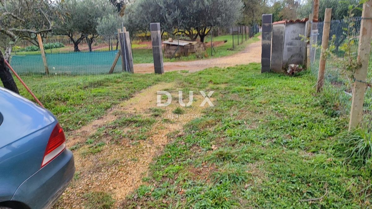 ISTRIA, VALTURA - Terreno agricolo di 1500m2 al confine con l'urbanizzazione!