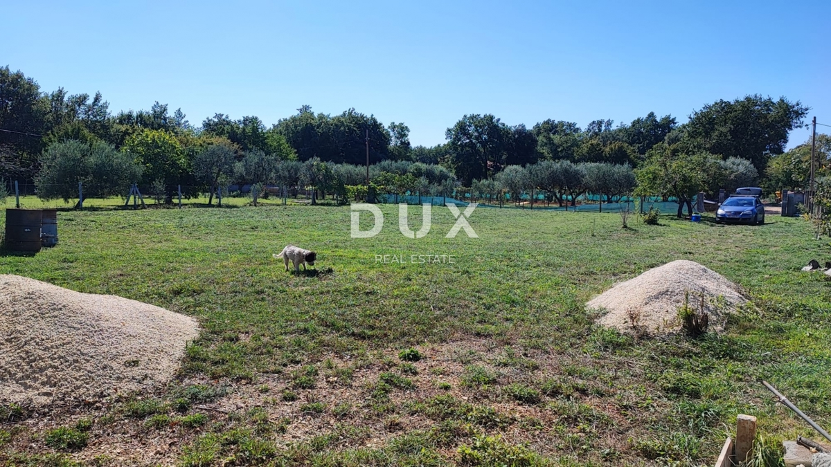 ISTRIA, VALTURA - Terreno agricolo di 1500m2 al confine con l'urbanizzazione!