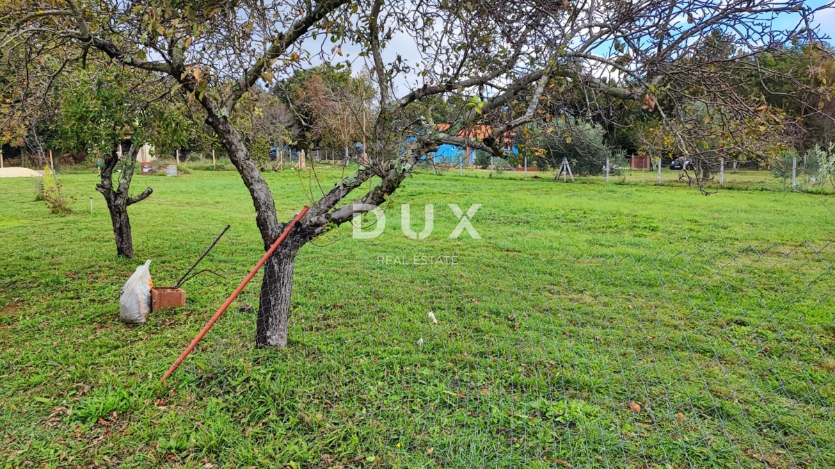 ISTRIA, VALTURA - Terreno agricolo di 1500m2 al confine con l'urbanizzazione!