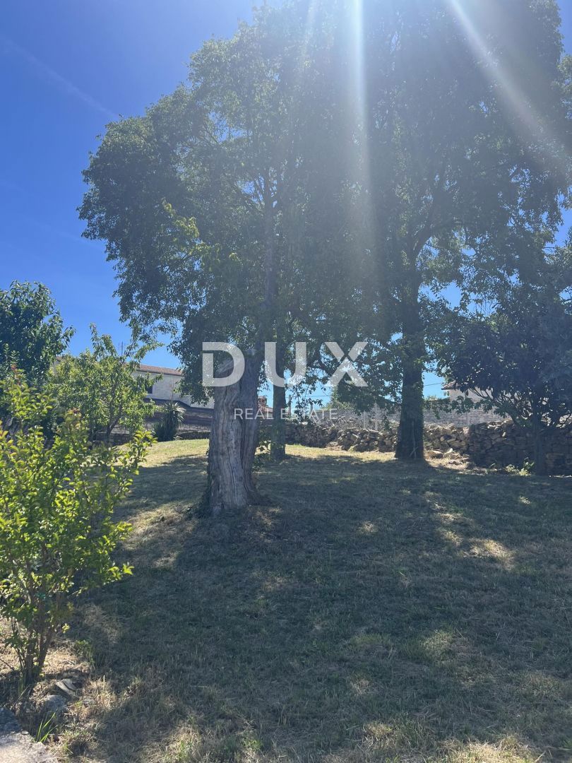 ISTRIA, VIŠNJAN - Proprietà di due case in pietra immerse nella natura e con vista sul mare