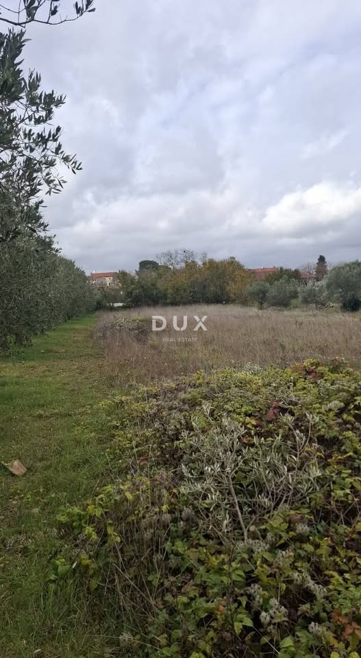 ISTRIA, VODNJAN - Terreno edificabile