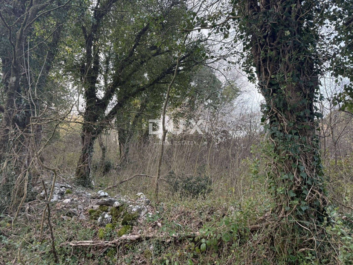 Terreno Labin, 219m2