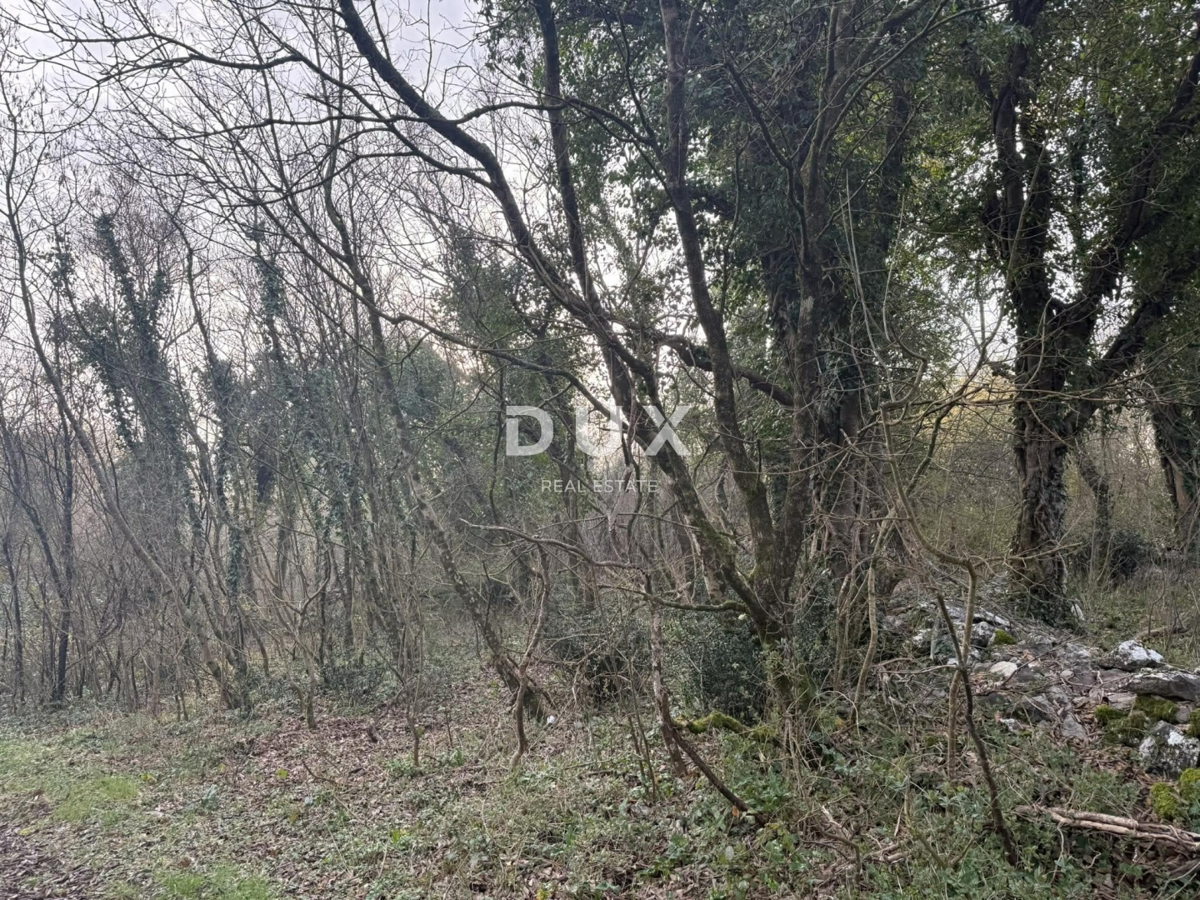 Terreno Labin, 219m2