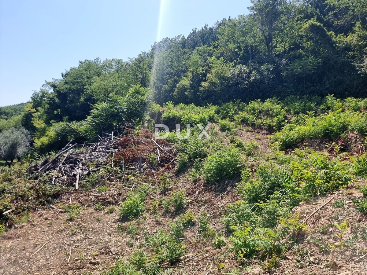 ISTRIA, GROŽNJAN - Proprietà appartata con vista panoramica