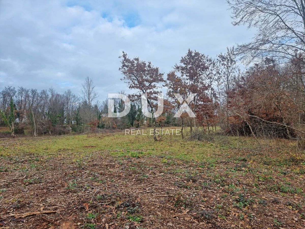 ISTRIA, LABIN - Terreno edificabile ai margini del villaggio