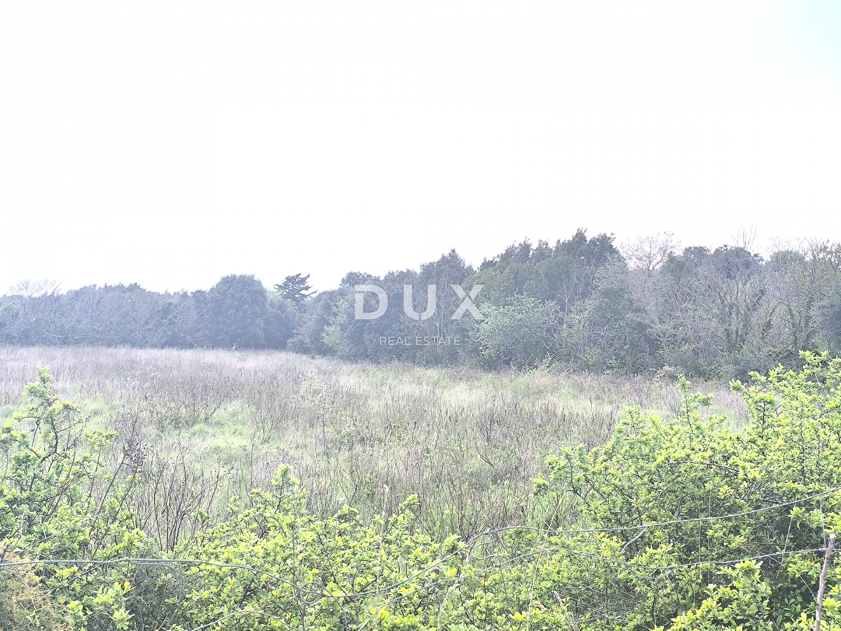 ISTRIA, PREMANTURA - Terreno agricolo, Capo Kamenjak, a 200 m dal mare