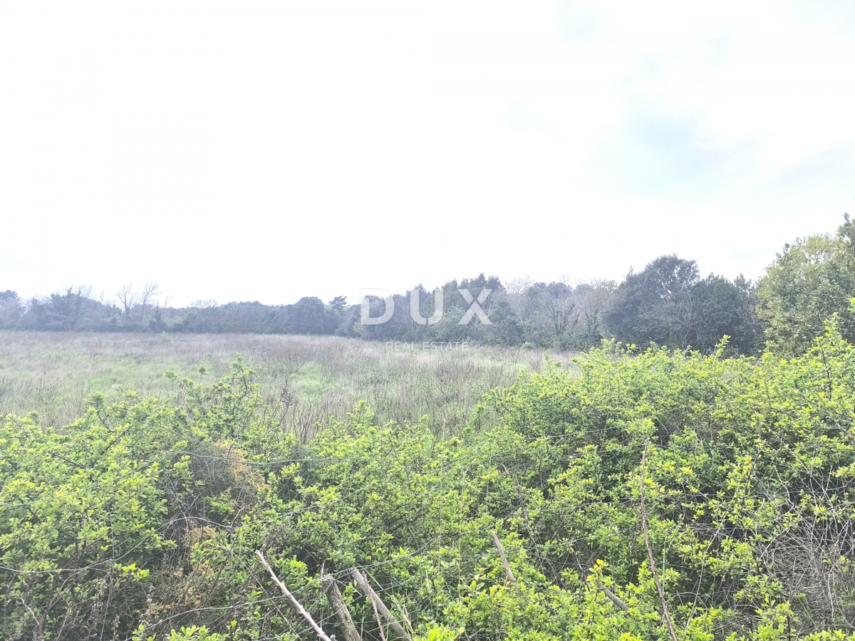 ISTRIA, PREMANTURA - Terreno agricolo, Capo Kamenjak, a 200 m dal mare