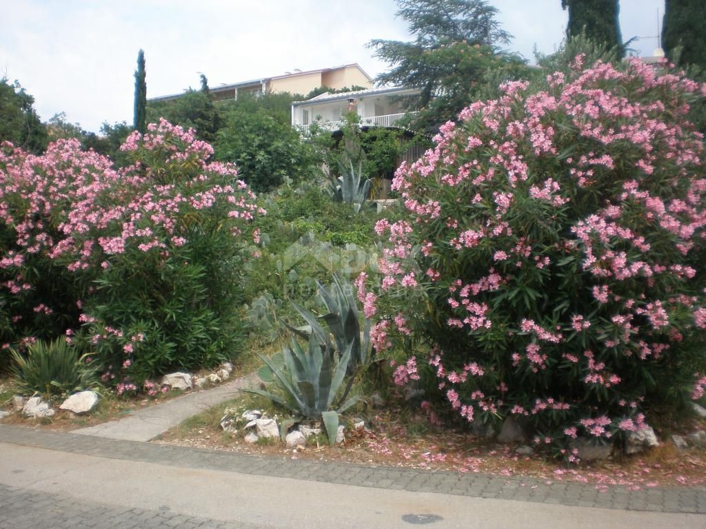 Casa Novi Vinodolski, 1.134m2