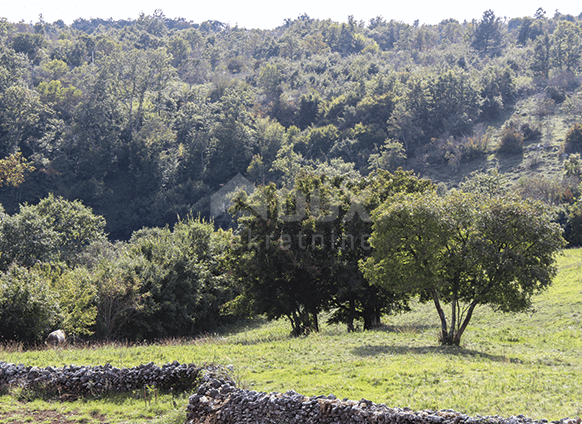 Casa Žminj, 398m2