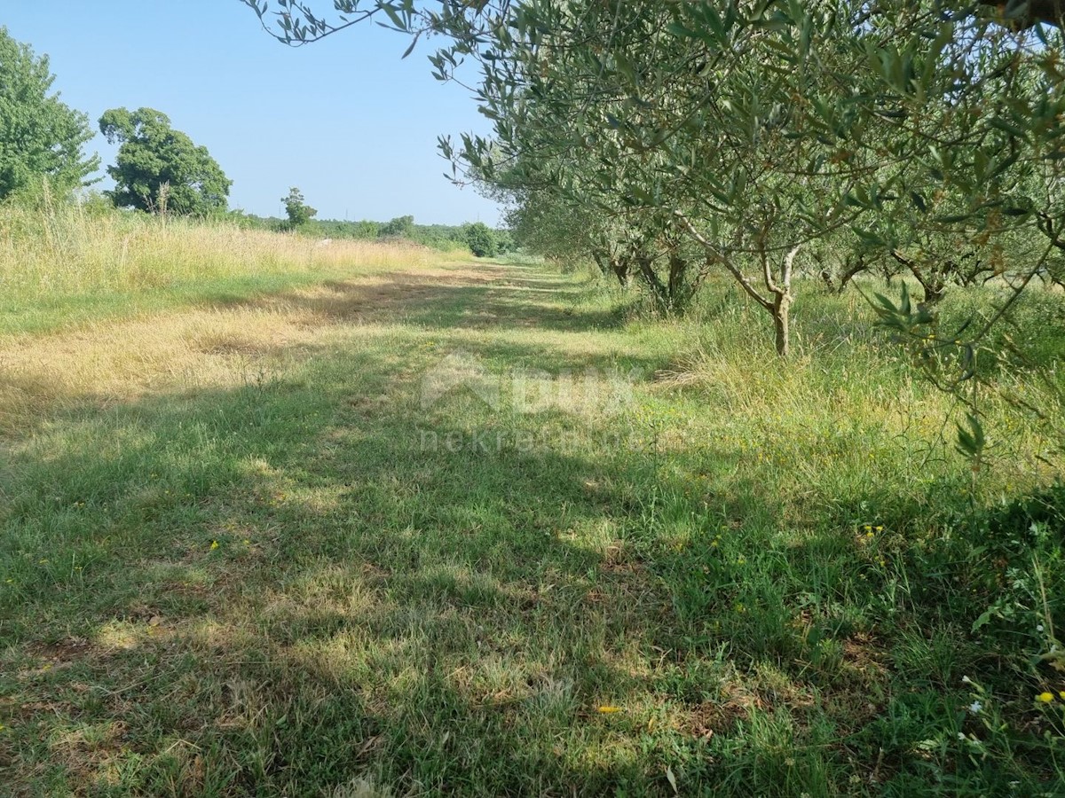 Terreno Svetvinčenat, 2.200m2