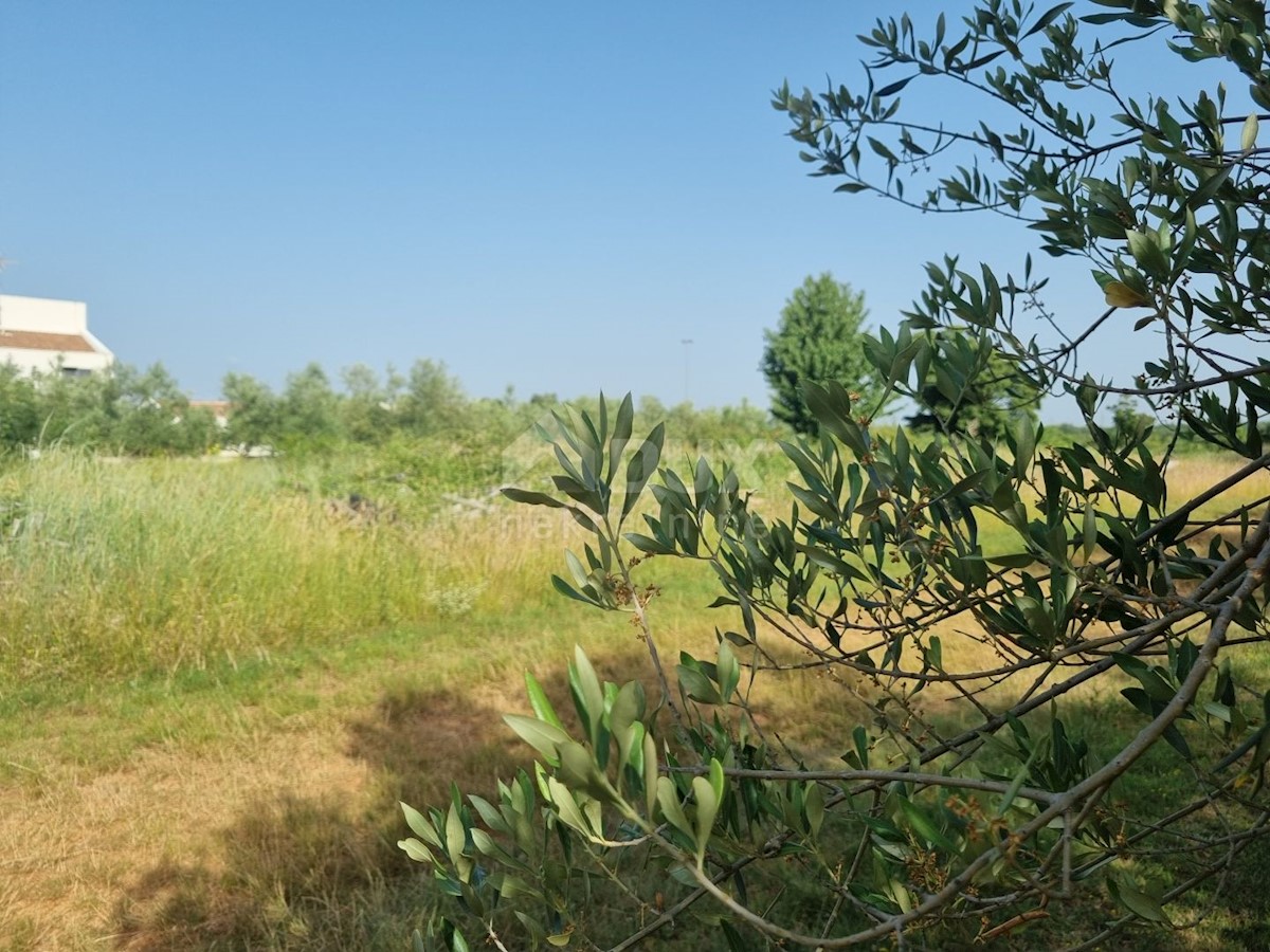 Terreno Svetvinčenat, 2.200m2