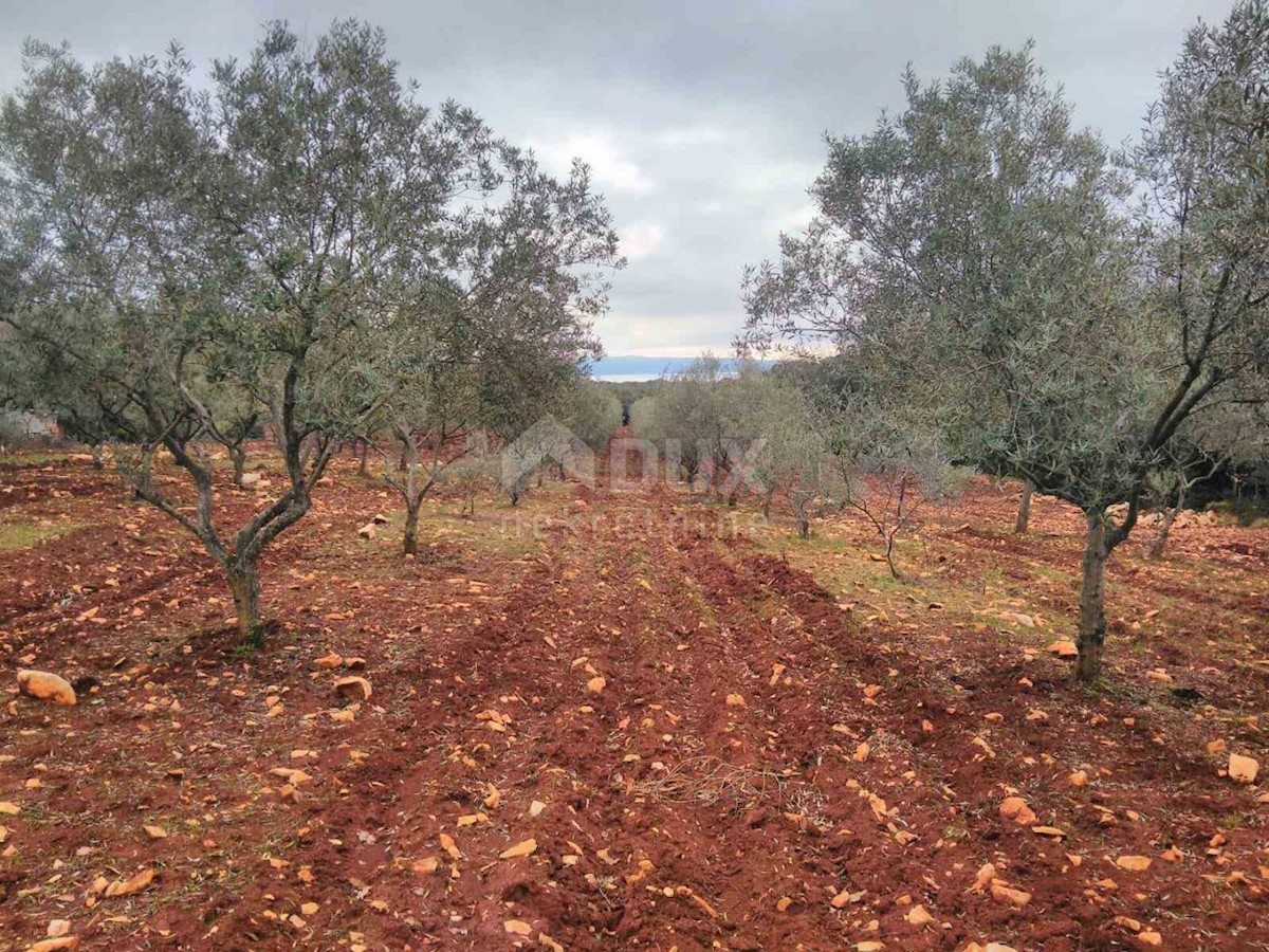 Terreno Marčana, 13.205m2