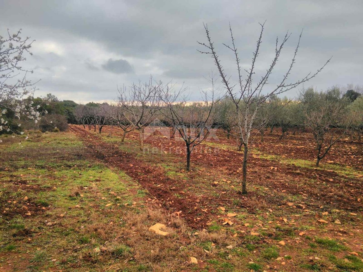 Terreno Marčana, 13.205m2