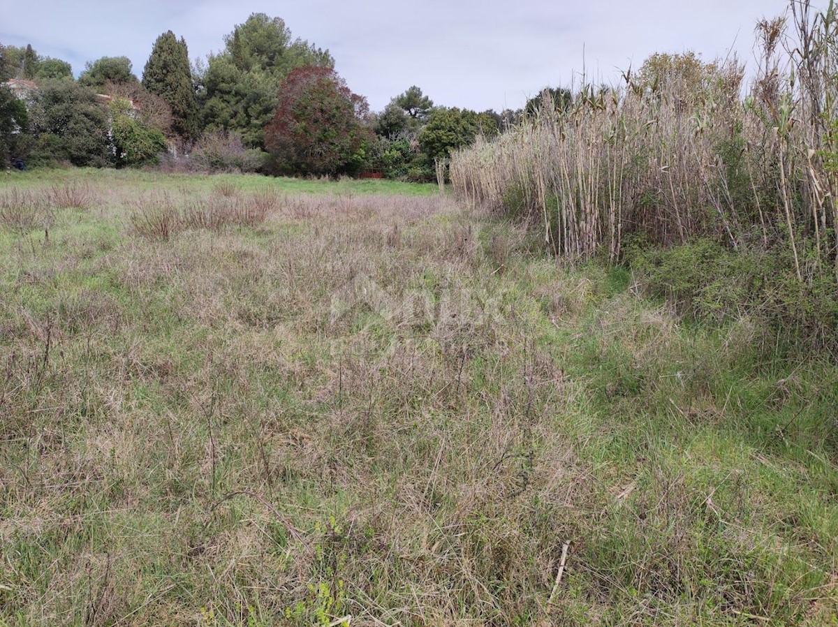 ISTRIA, PUNTIŽELA - Terreno T2 - A 200 m DAL MARE!