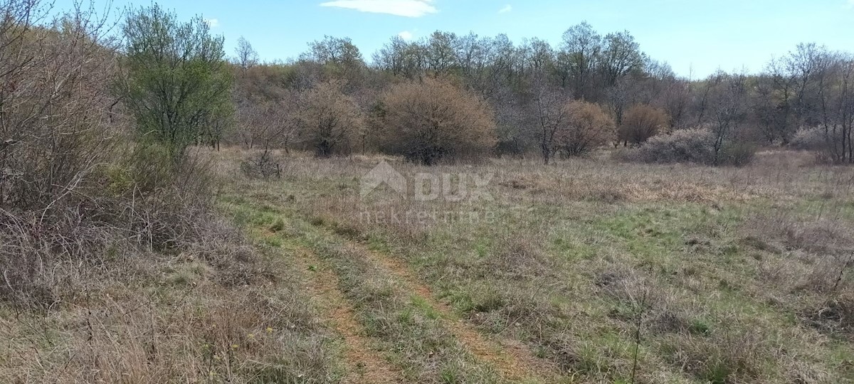 Terreno Žbandaj, Poreč, 12.046m2