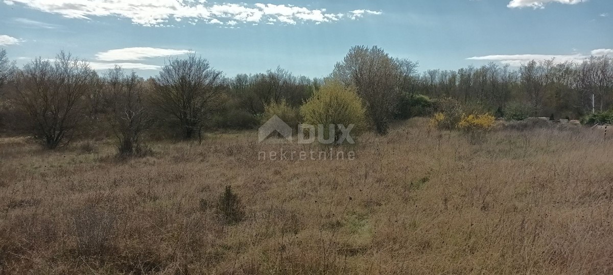 Terreno Žbandaj, Poreč, 12.046m2