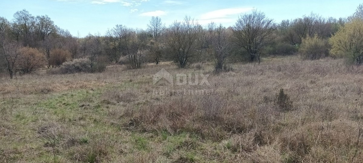 Terreno Žbandaj, Poreč, 12.046m2