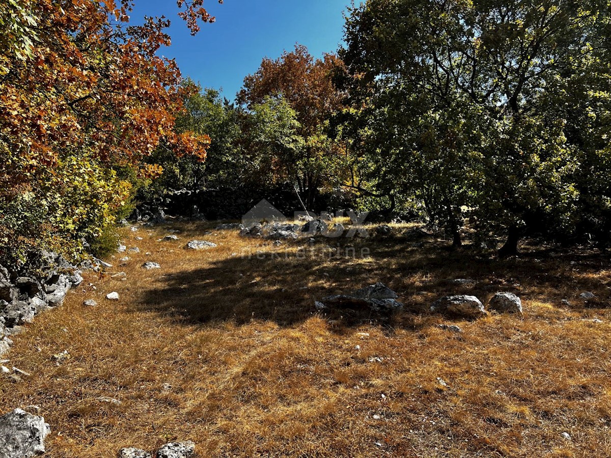 Isola di Krk, dintorni di Dobrinje - Casa in pietra ristrutturata