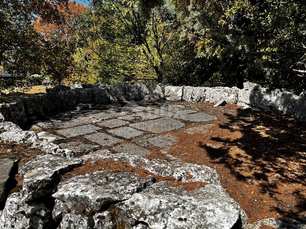 Isola di Krk, dintorni di Dobrinje - Casa in pietra ristrutturata