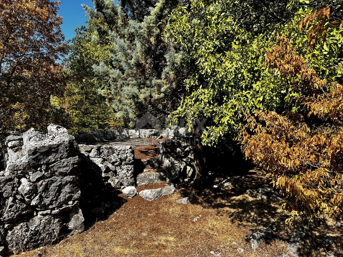 Isola di Krk, dintorni di Dobrinje - Casa in pietra ristrutturata