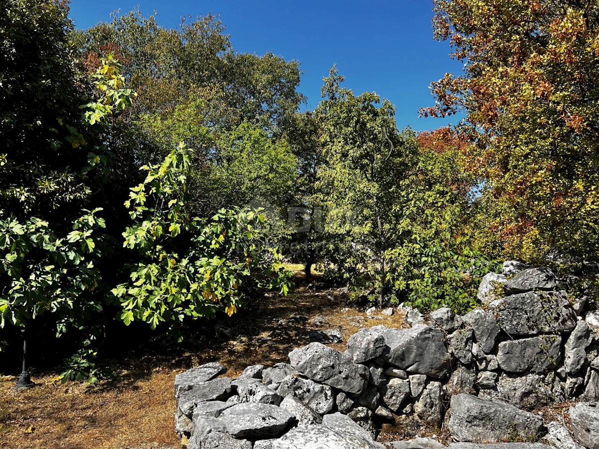 Isola di Krk, dintorni di Dobrinje - Casa in pietra ristrutturata