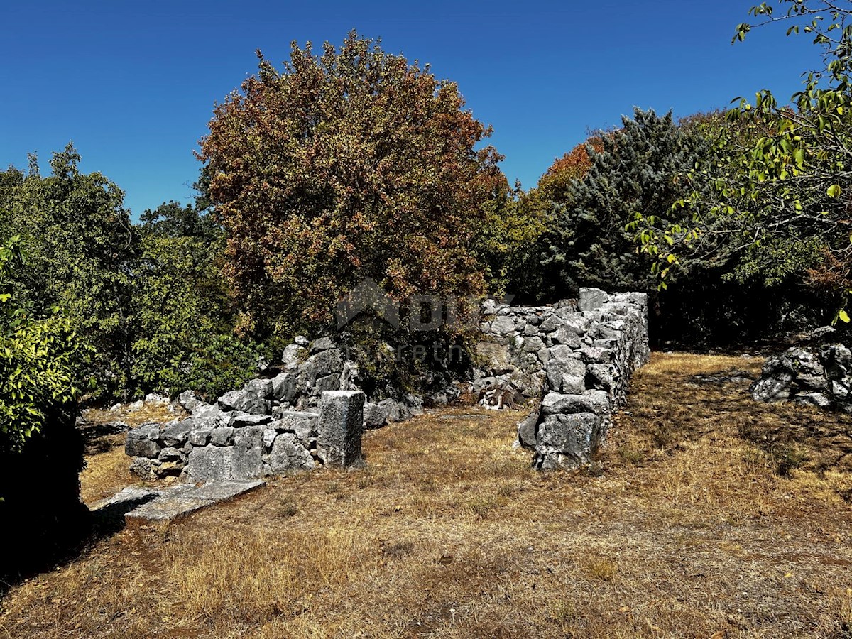 Isola di Krk, dintorni di Dobrinje - Casa in pietra ristrutturata