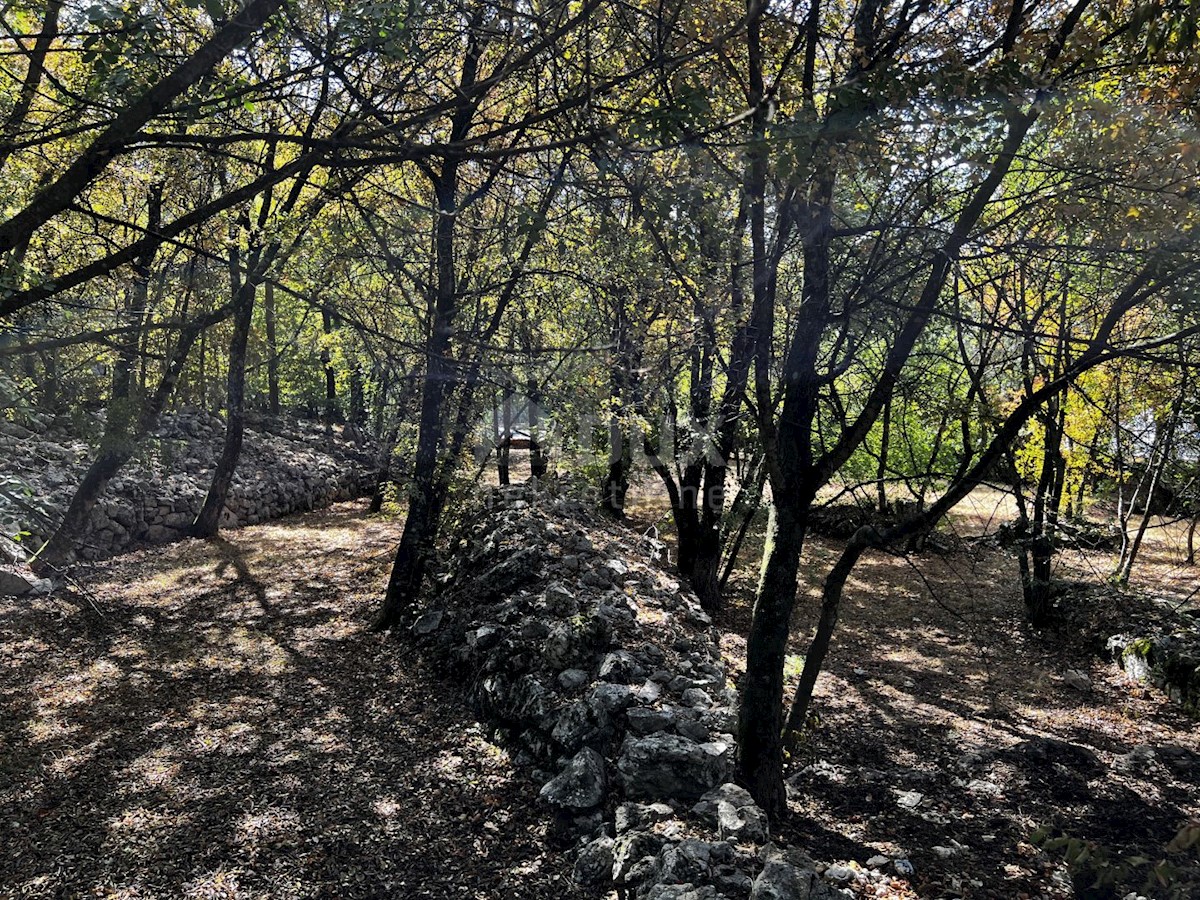 Isola di Krk, dintorni di Dobrinje - Casa in pietra ristrutturata