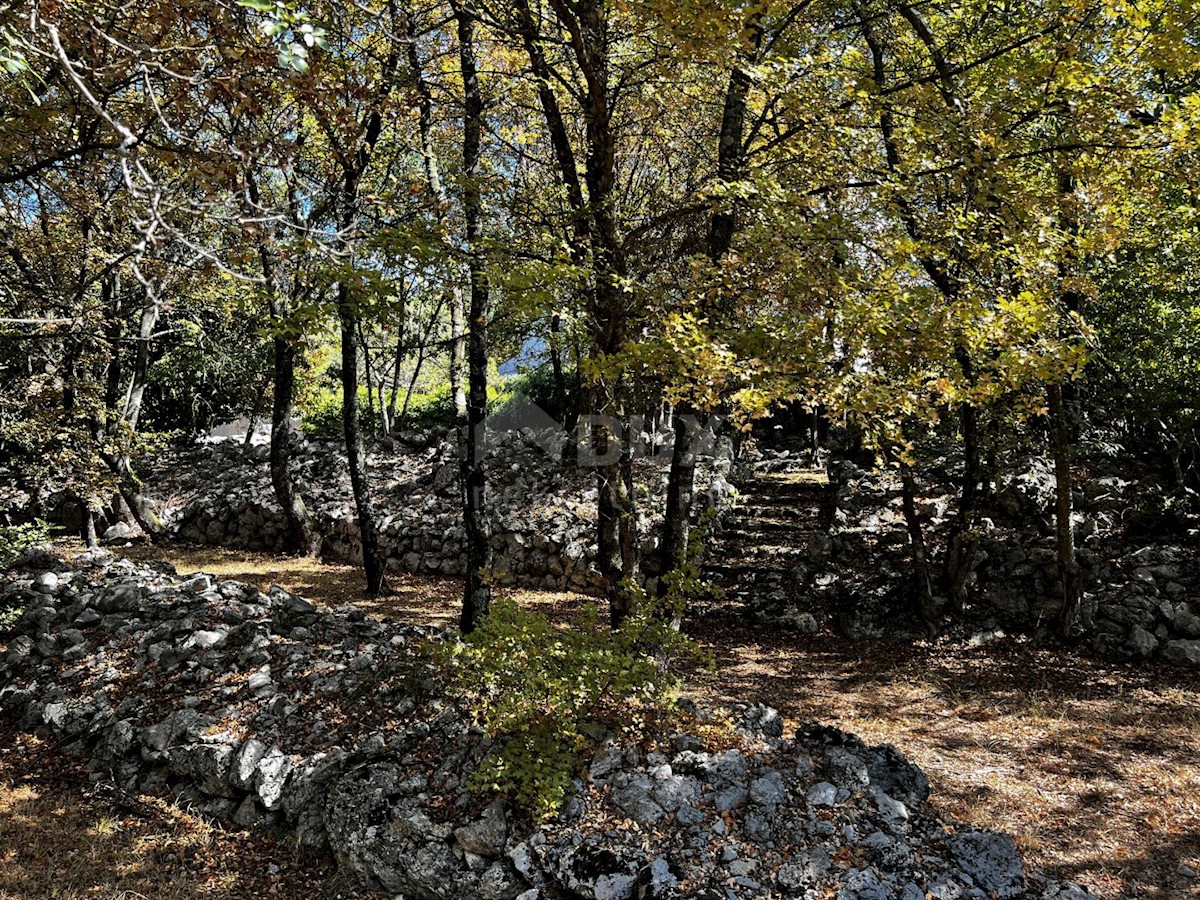 Isola di Krk, dintorni di Dobrinje - Casa in pietra ristrutturata