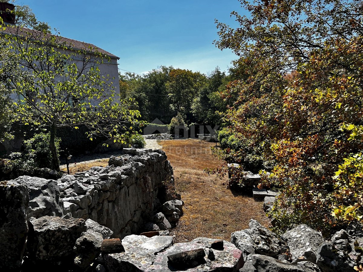 Isola di Krk, dintorni di Dobrinje - Casa in pietra ristrutturata