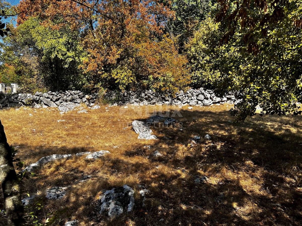 Isola di Krk, dintorni di Dobrinje - Casa in pietra ristrutturata