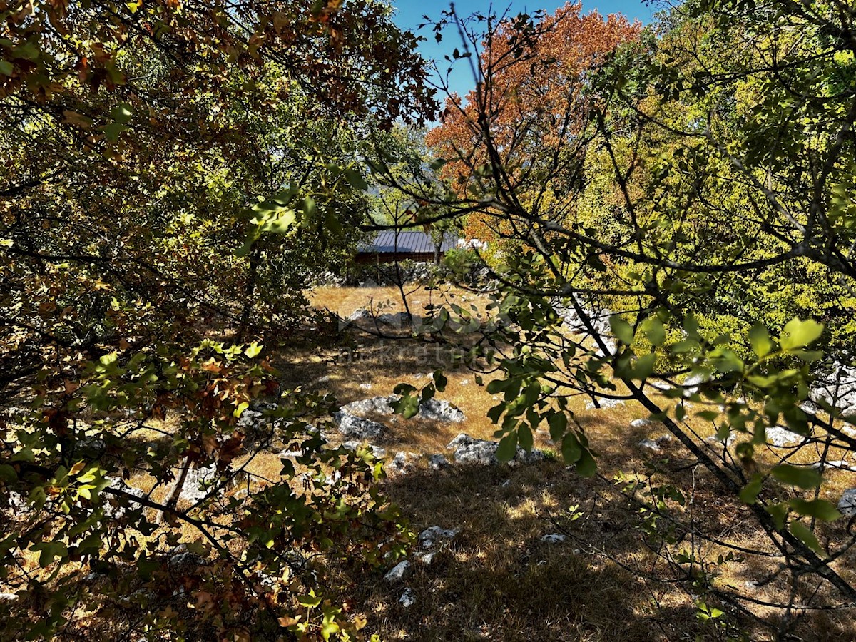 Isola di Krk, dintorni di Dobrinje - Casa in pietra ristrutturata