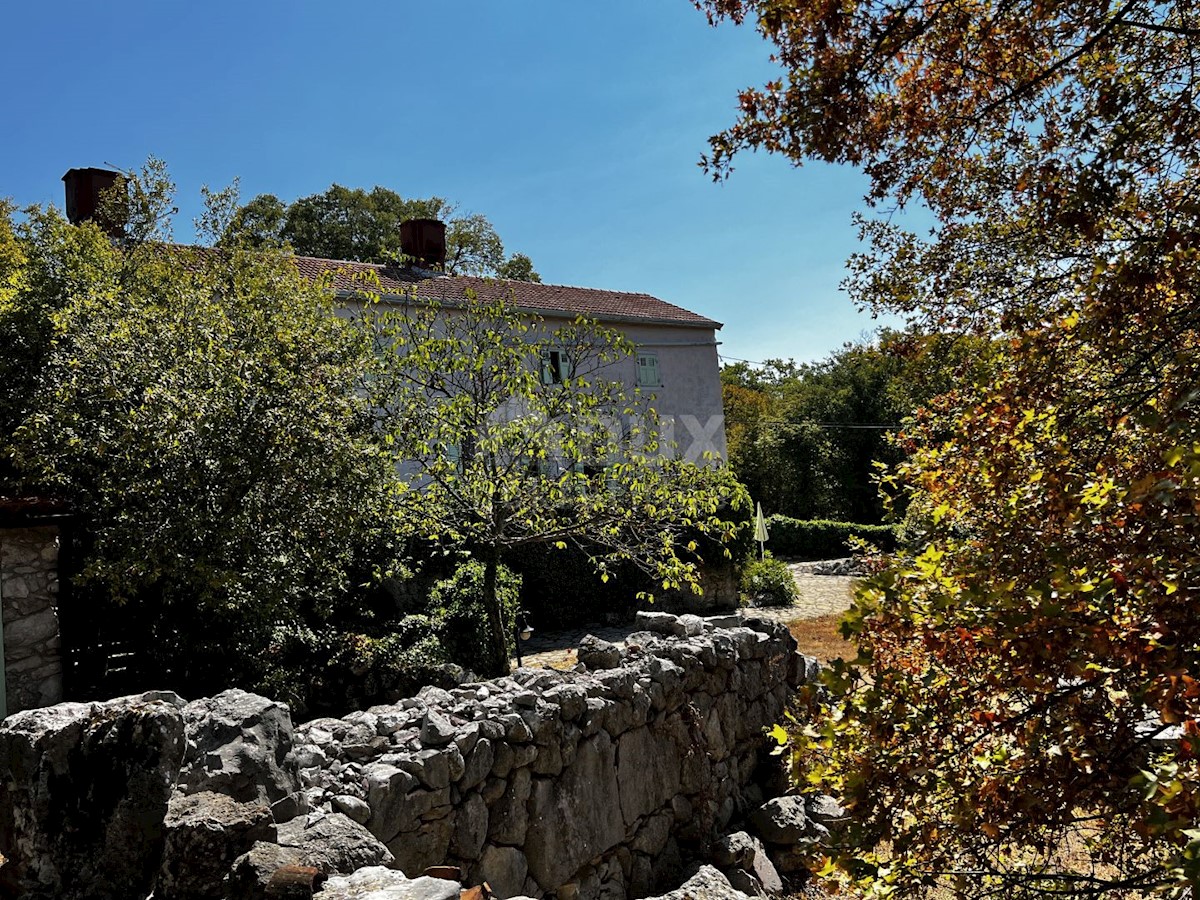 Isola di Krk, dintorni di Dobrinje - Casa in pietra ristrutturata