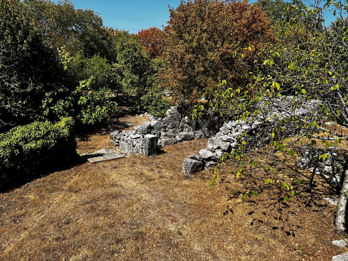 Isola di Krk, dintorni di Dobrinje - Casa in pietra ristrutturata