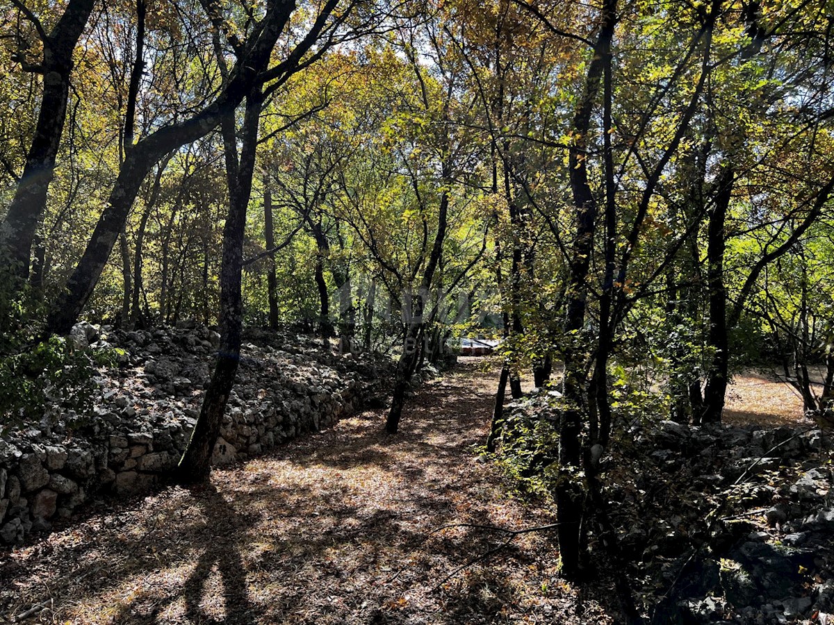 Isola di Krk, dintorni di Dobrinje - Casa in pietra ristrutturata