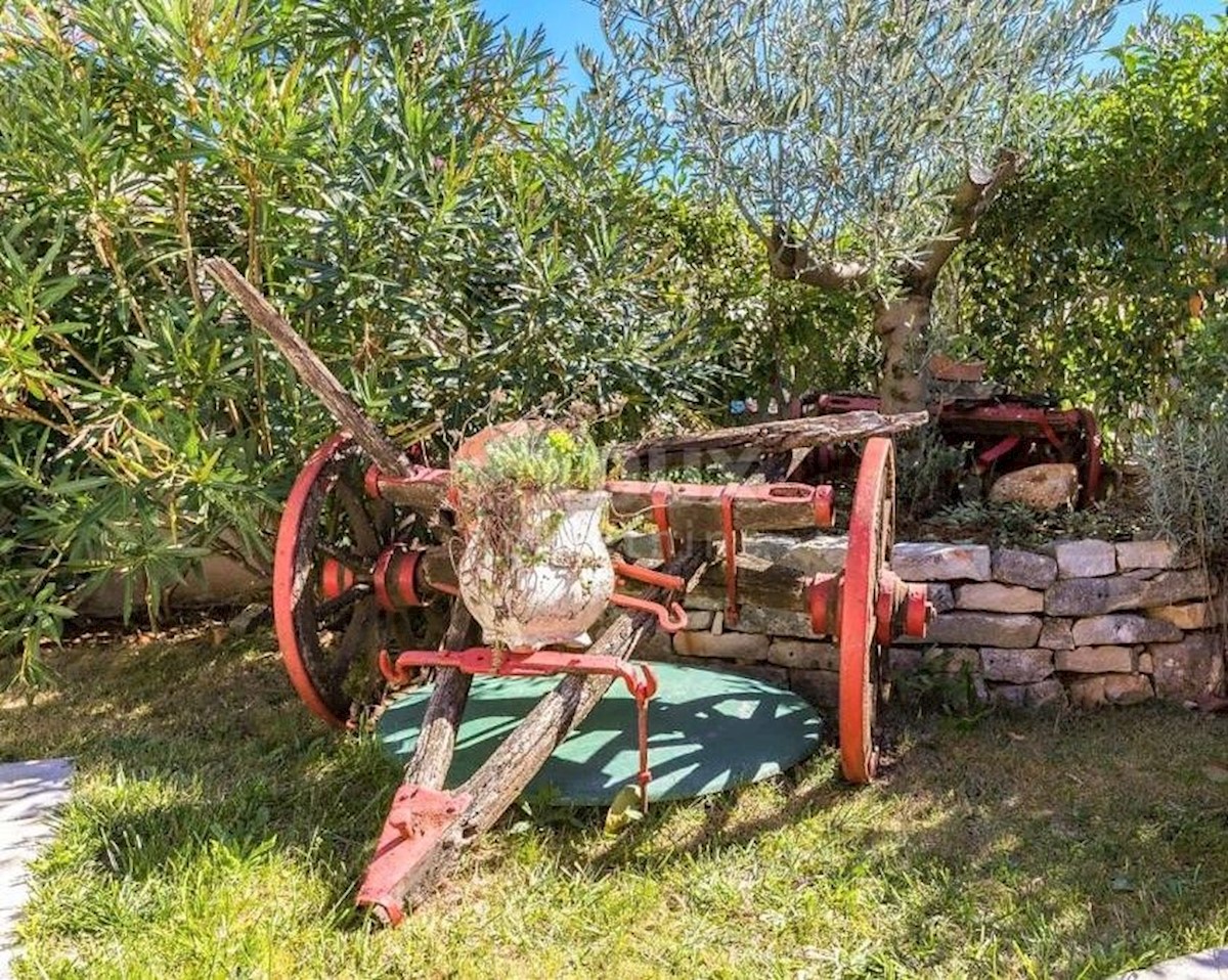 ISTRIA, SVETVINČENAT - Due case, piscina e terreno edificabile
