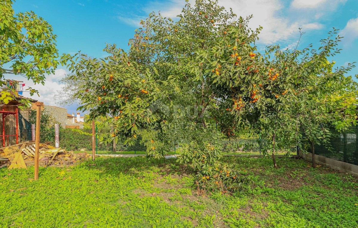 Casa Brtonigla, 508m2