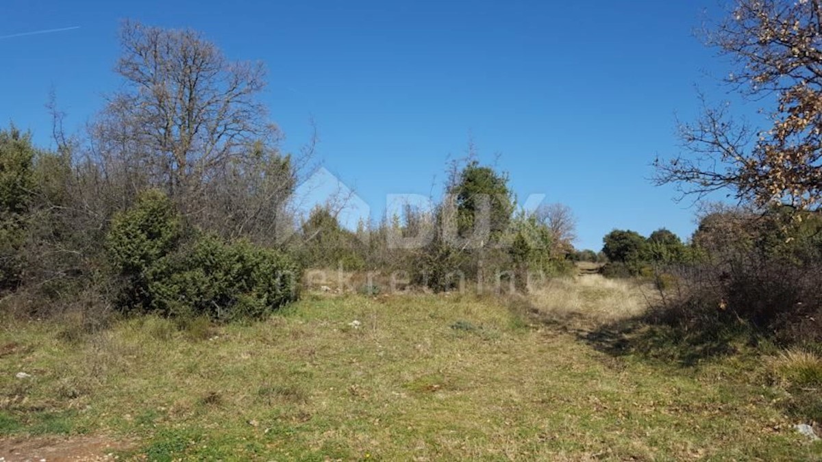 ISTRIA, MARČANA - Terreno edificabile vista mare