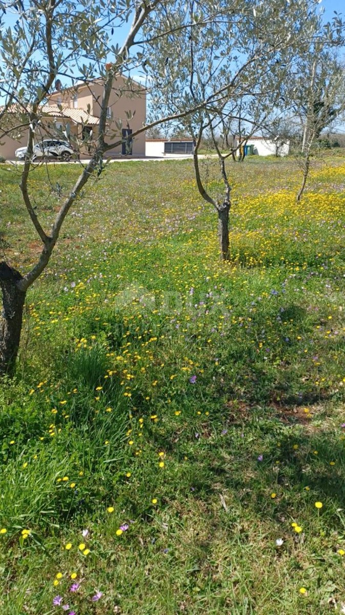 Terreno Divšići, Marčana, 1.970m2