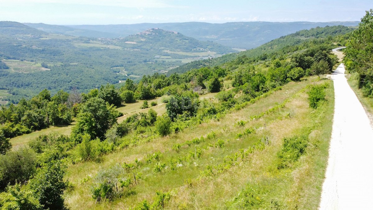 Terreno Motovun, 3.059m2