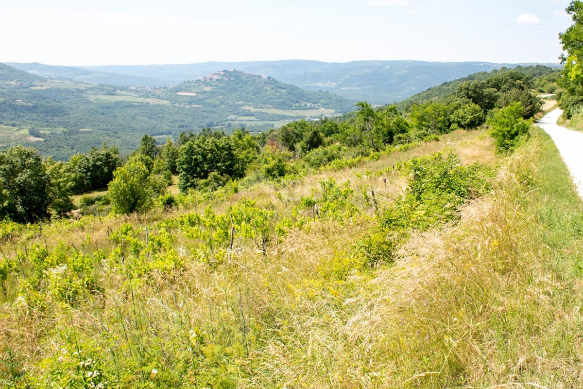 Terreno Motovun, 3.059m2