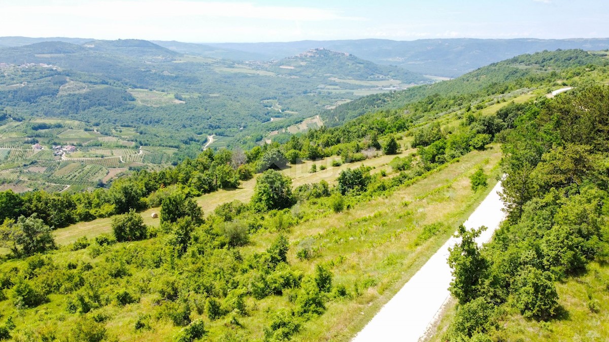 Terreno Motovun, 3.059m2