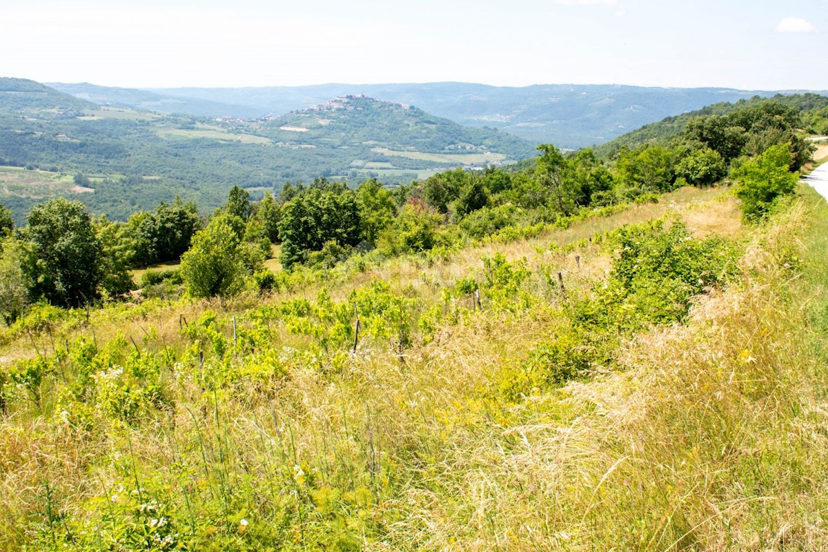 Terreno Motovun, 3.059m2