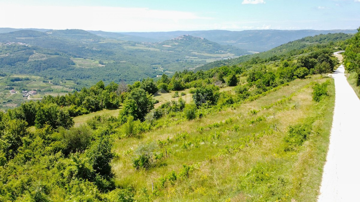 Terreno Motovun, 3.059m2