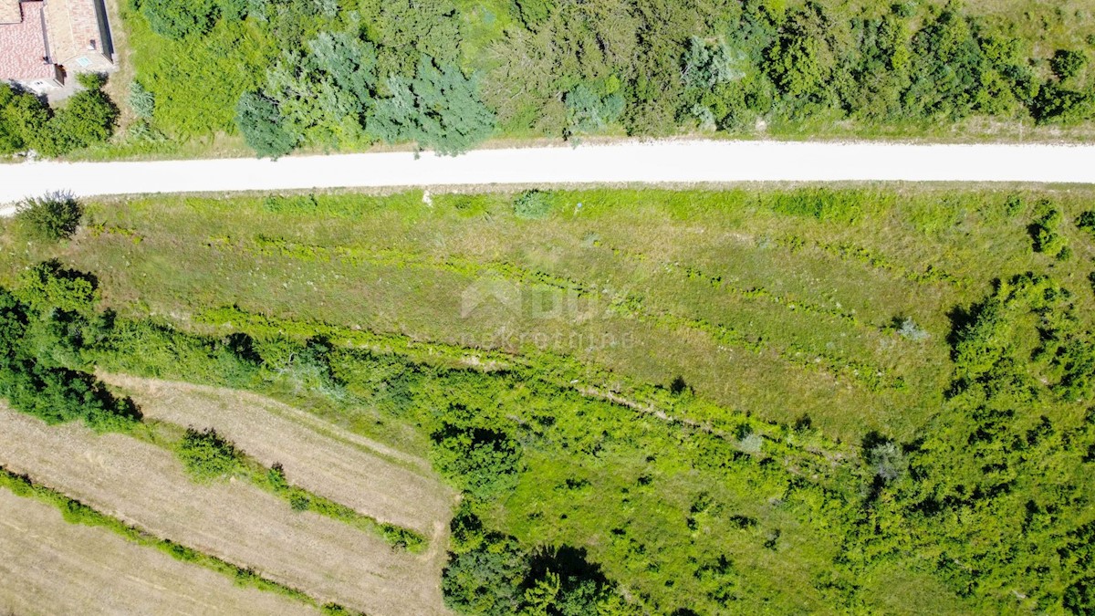 Terreno Motovun, 3.059m2