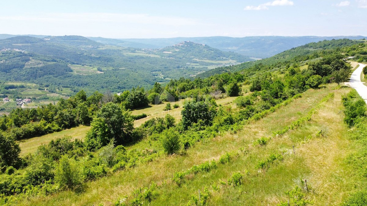 Terreno Motovun, 3.059m2